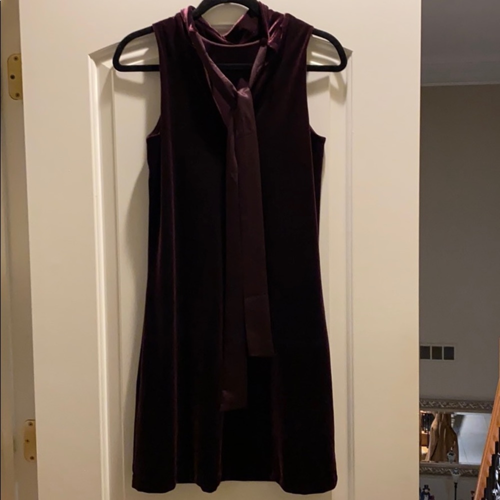 Plum Velvet Dress - Picture 11 of 12